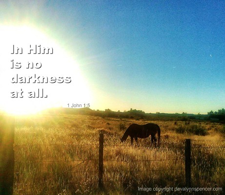 ALT="Horse in field, no darkness at all"