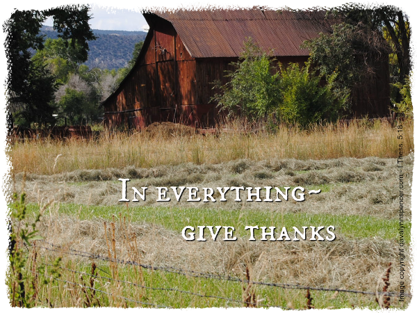 ALT="hay field and barn"