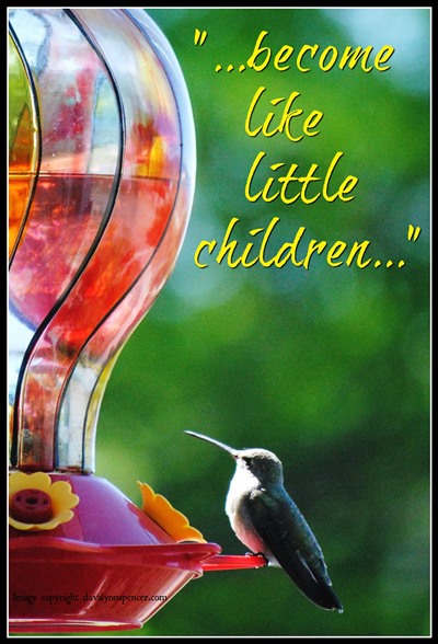 ALT="hummingbird at feeder"