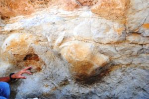 ALT="dinosaur footprint next to human hand"