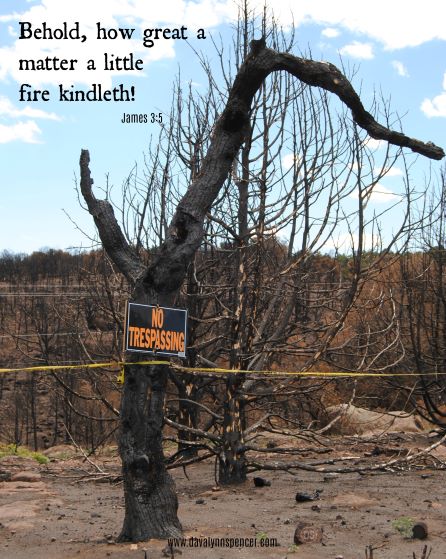ALT="burned treed"