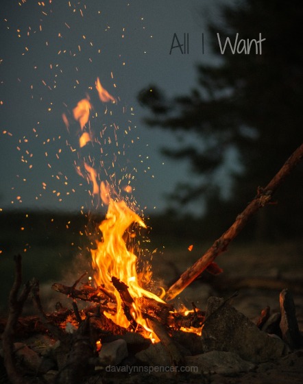 ALT ="camp fire"