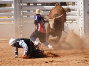 ALT="Bullfighter, bull, bull rider"