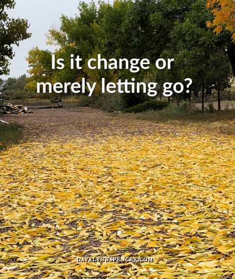 ALT="fallen yellow leaves)