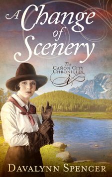 A Change of Scenery by author Davalynn Spencer
