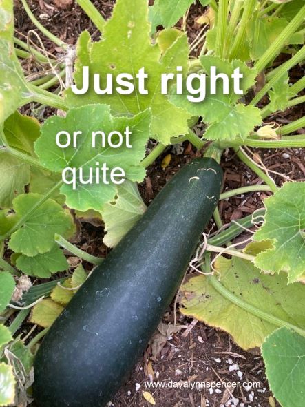 ALT="green zucchini squash"