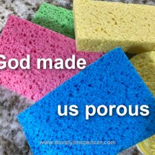 ALT="colorful sponges"
