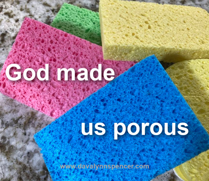 ALT="colorful sponges"