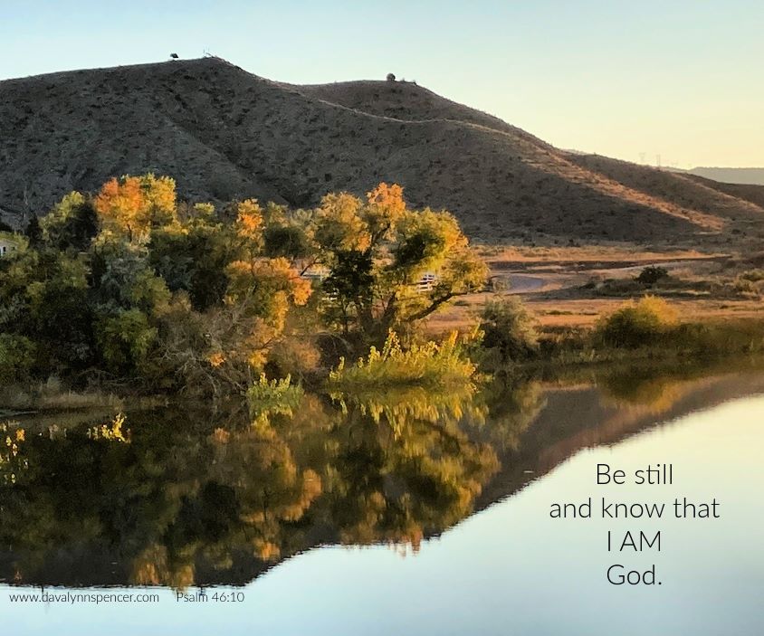 ALT="trees reflected in pond"