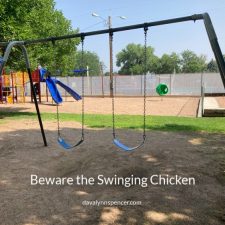 ALT="swings in the park"