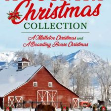 A Country Christmas Collection by author Davalynn Spencer