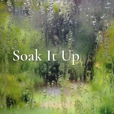 ALT="Rain on window"