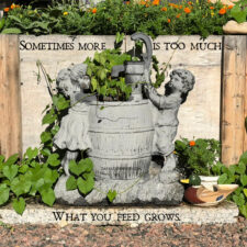 ALT="garden scene