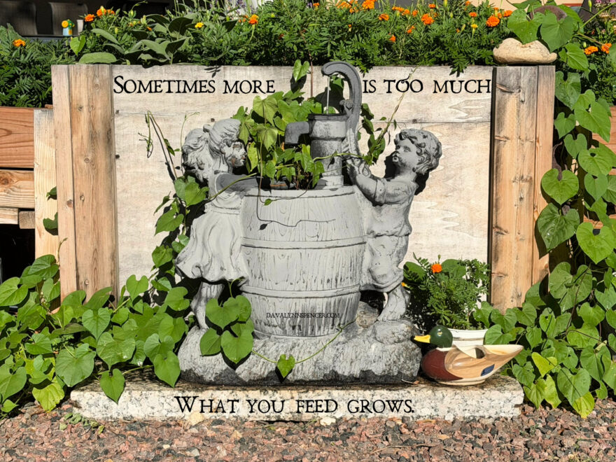 ALT="garden scene