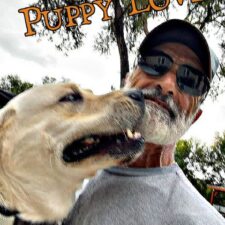 ALT="yellow lab with man"